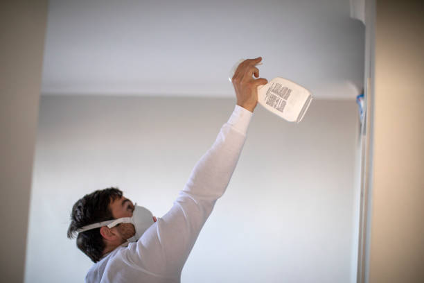 Best Kitchen Mold Remediation in Cecilia, LA