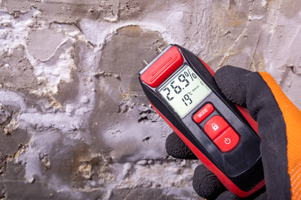 Best Insurance-Related Mold Remediation in Cecilia, LA