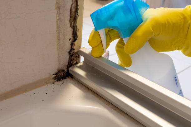 Best Bathroom Mold Remediation in Cecilia, LA